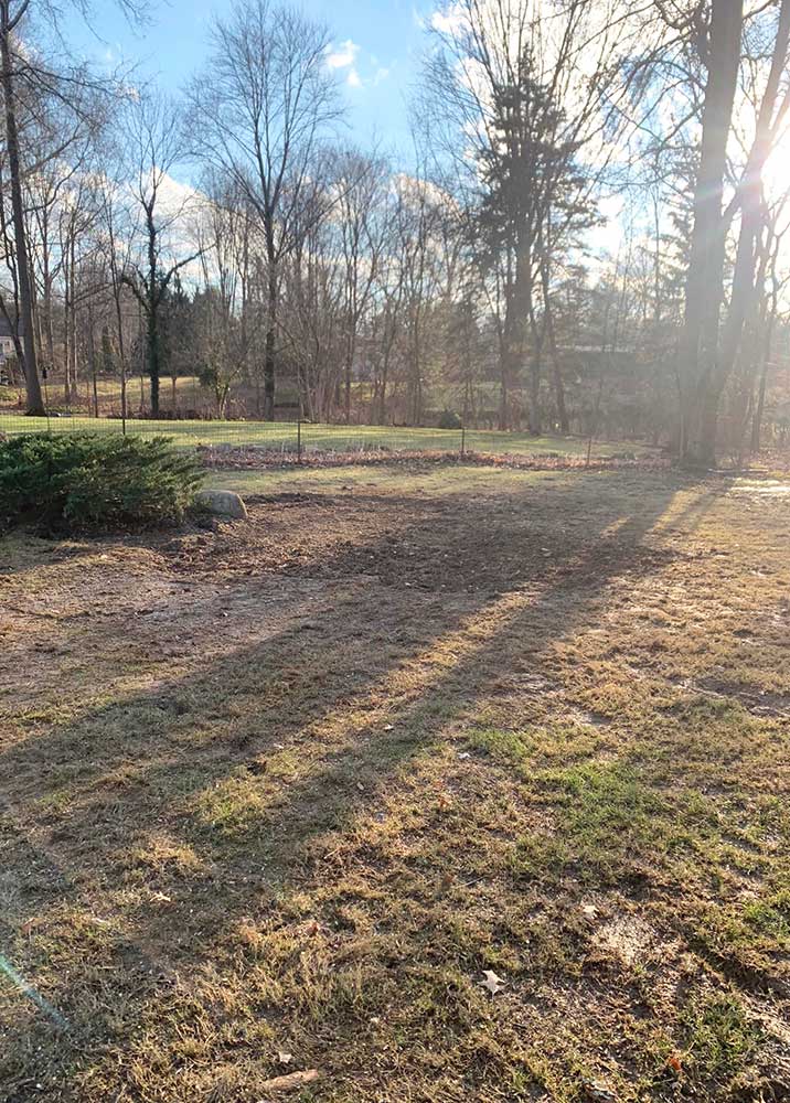 clearing-services-img-716x1000